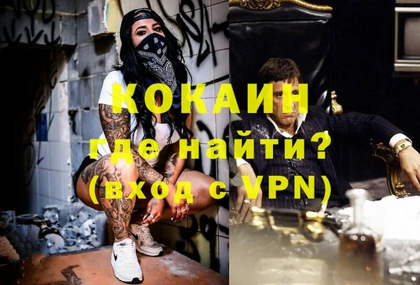 сатива Аркадак