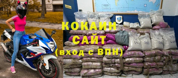 сатива Аркадак