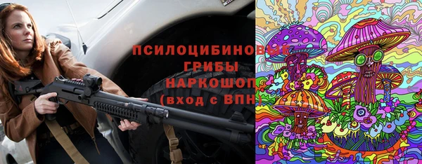 сатива Аркадак