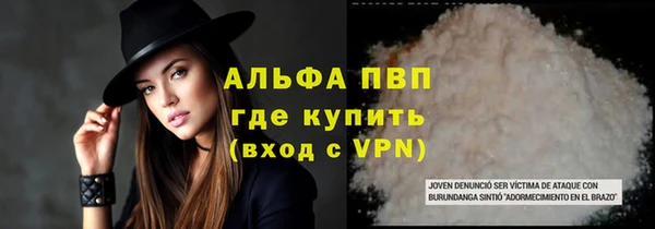 сатива Аркадак