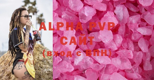сатива Аркадак