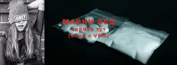 сатива Аркадак