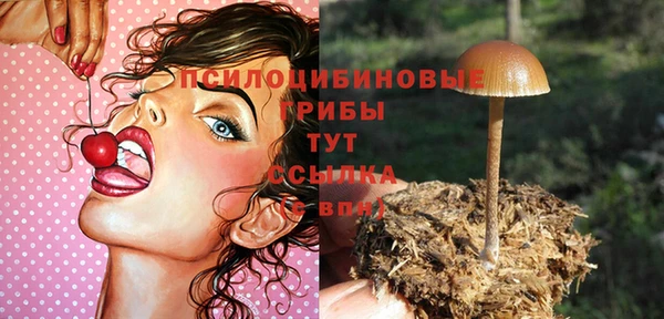 сатива Аркадак
