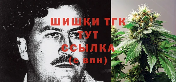 трава Арсеньев