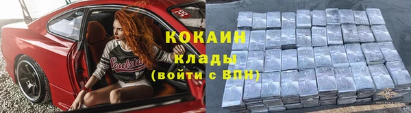 сатива Аркадак